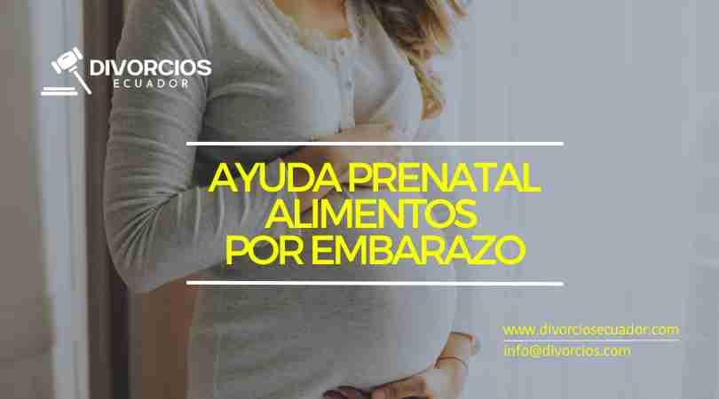 Alimentos para mujer embarazada - Alimentos por Embarazo - Ayuda Prenatal