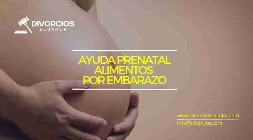 Juicio de Alimentos por Embarazo - Juicio de Alimentos para Mujer Embarazada